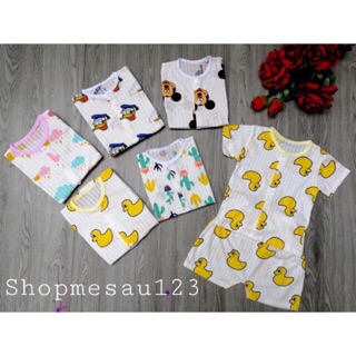 Combo 50 bộ cộc cotton giấy, khuy giữa