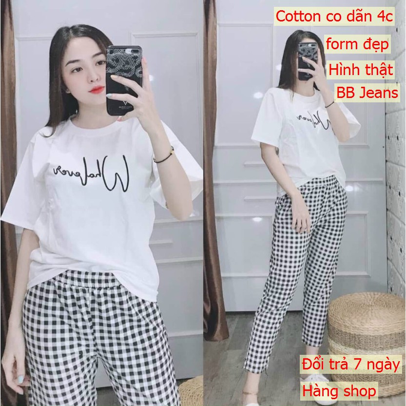 [40-85kg] đồ bộ nữ cotton bigsize - set đồ bộ nữ đi chơi chất thun co dãn 4c thoải mái bất ngờ 3WWW Panda Store