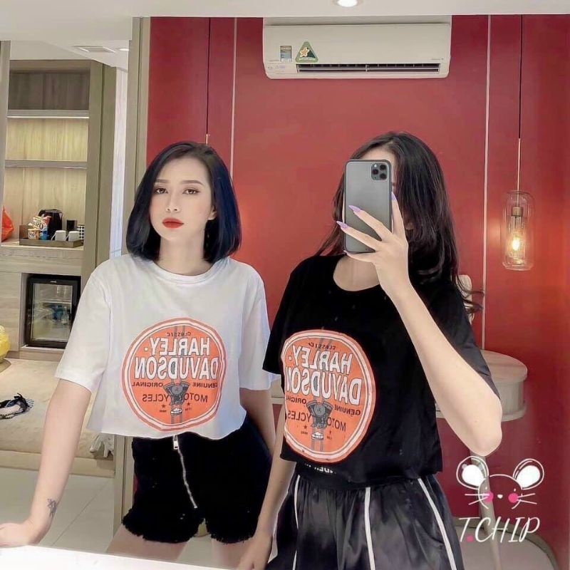 [GIÁ HỦY DIỆT] ÁO CROPTOP COTTON IN CHỮ FROM RỘNG &lt;60kg  TRẮNG VÀ ĐEN PC123211