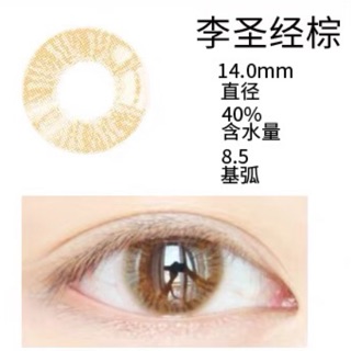 Kính áp tròng Bible brown