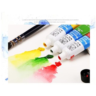 Sét Bột Vẽ Cọ Bản Newton 12 Màu