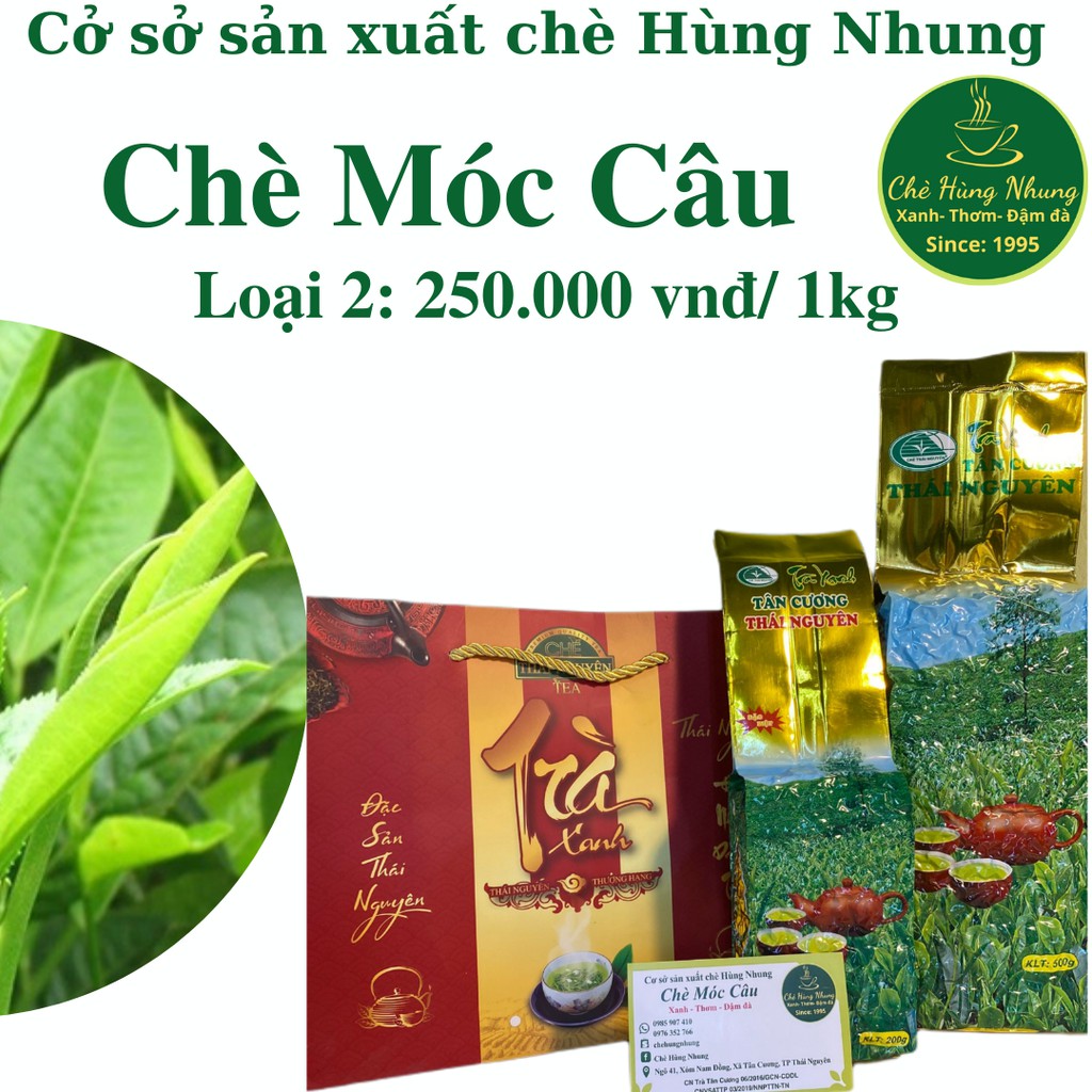 Chè Thái Nguyên chè Móc Câu loại 2 Tân Cương- Chè Hùng Nhung Tân Cương- Thái Nguyên
