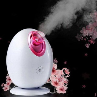 Máy Xông Hơi Mặt Xông Mũi Khử Khuẩn Xông Phòng Phun Sương Ion Âm VGRL NTFS-528