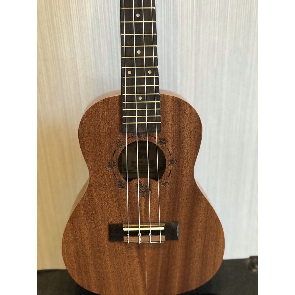 Ukulele Concert Ukaku C10F ( Ảnh Thật) - Nhập Khẩu chính hãng, Phân phối Sol.G