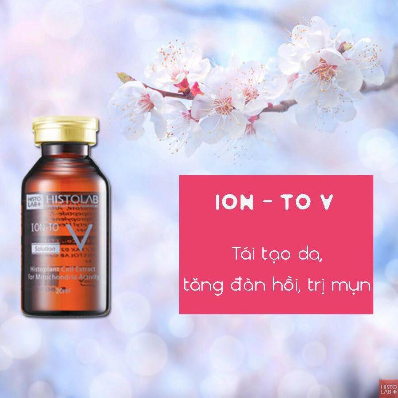 IONTO V