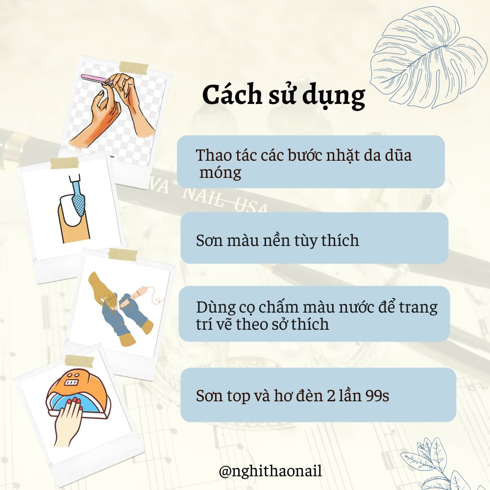 Cọ vẽ màu nước đầu tròn Jeliva số 08