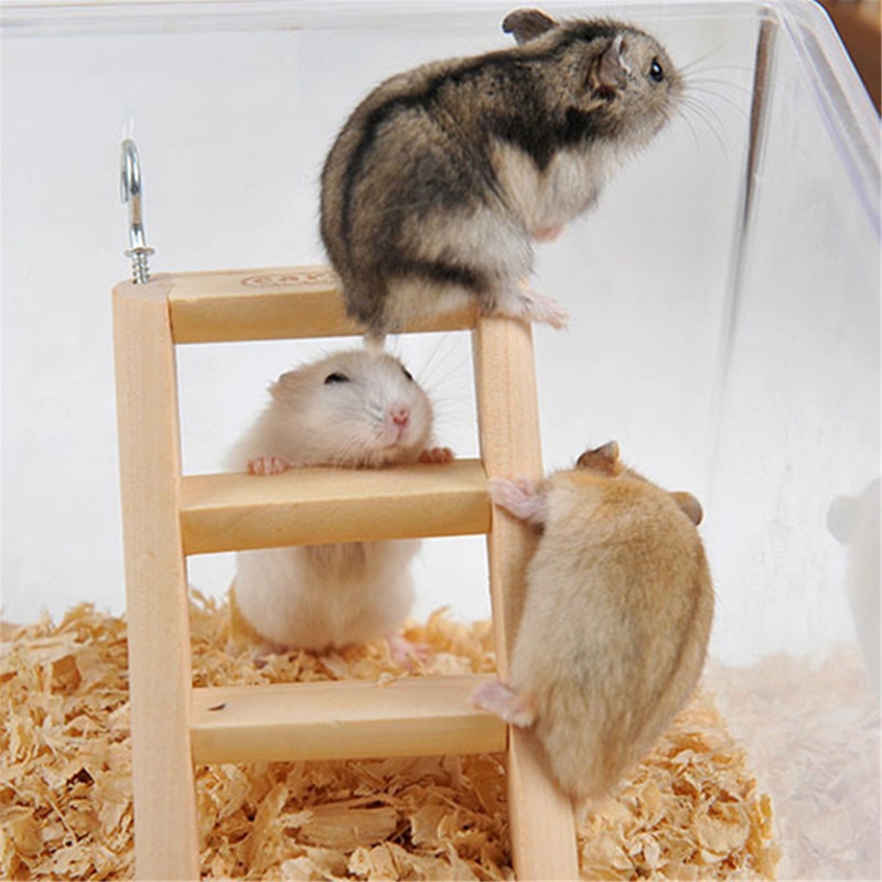 Đồ chơi thang leo có móc treo làm từ gỗ sáng tạo cho chuột hamster/sóc/chuột hamster