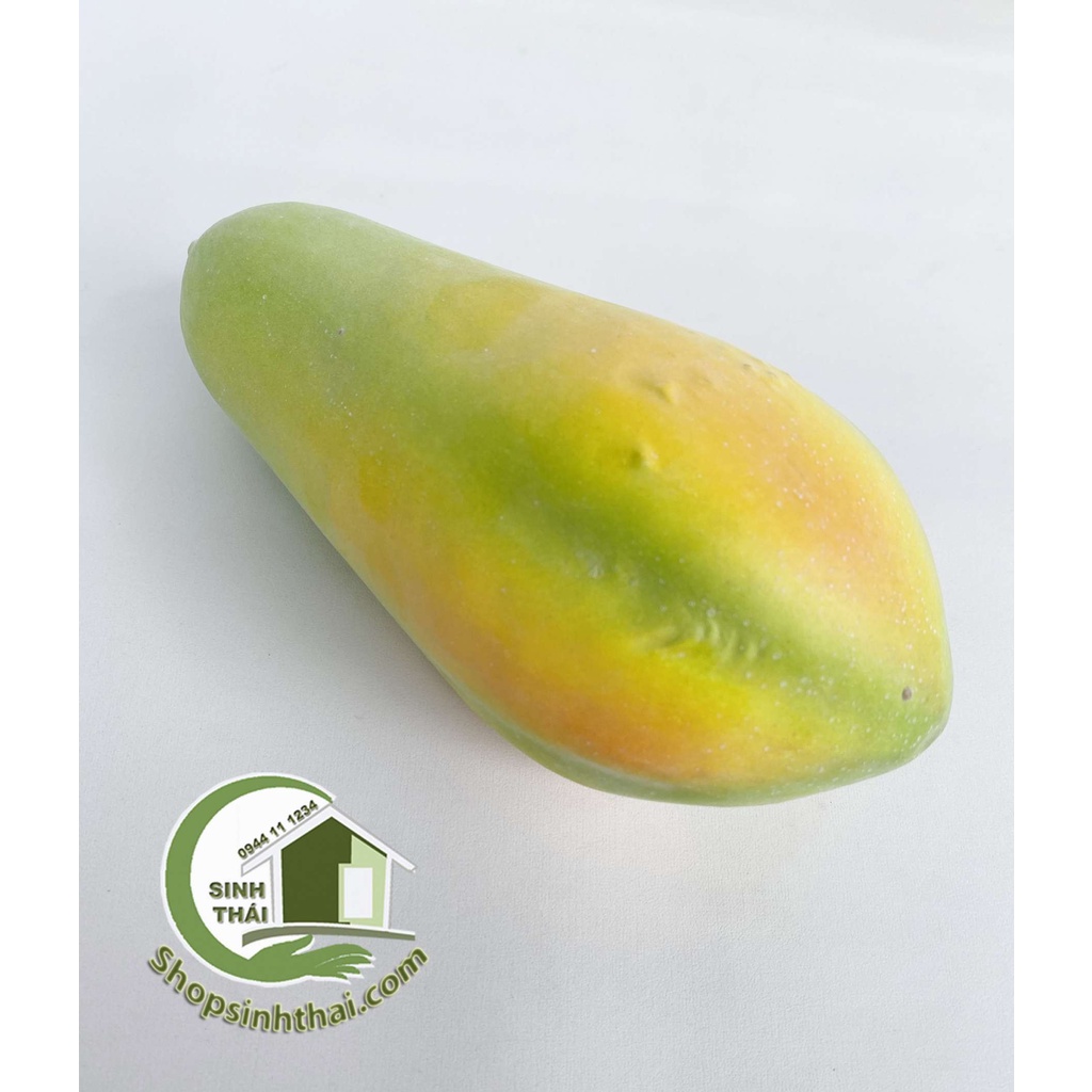 Trái đu đu giả - quả đu đủ chín cây màu xanh vàng - Trái cây giả cao cấp