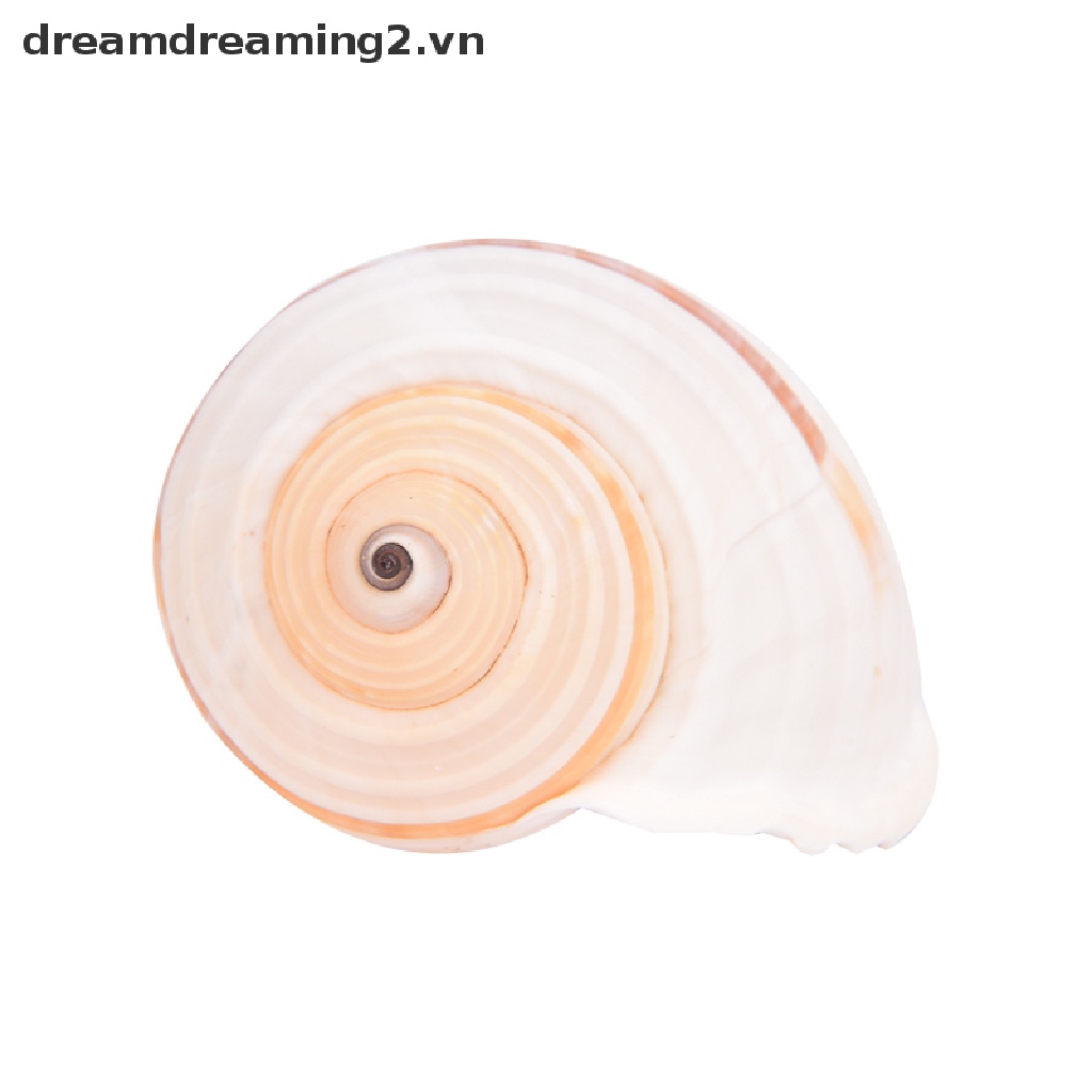 1 Vỏ Vít Phong Cảnh Đẹp