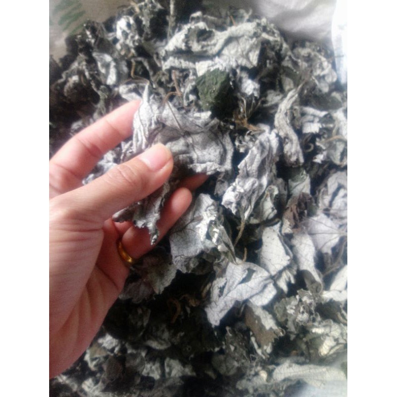 100g lá gai khô làm bánh gai