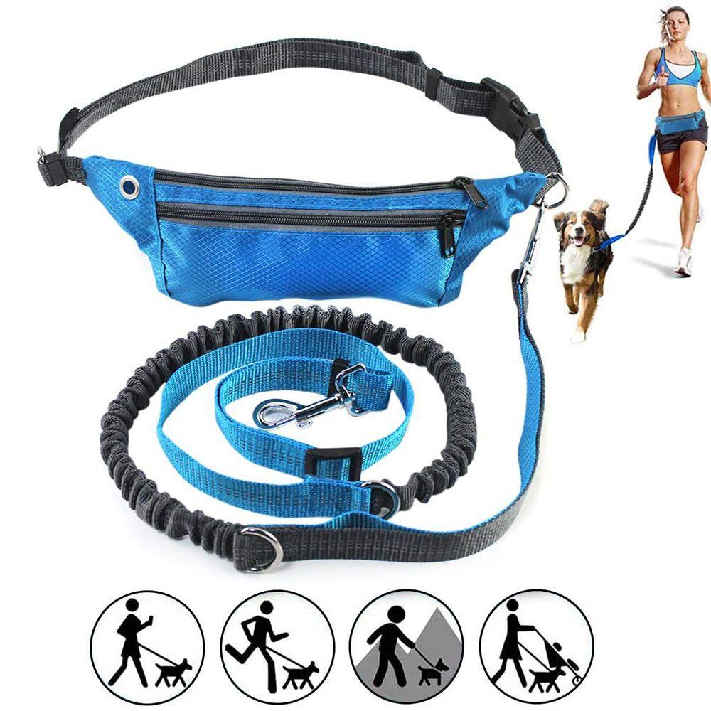Bộ Dây Đai Dắt Chó Đi Dạo Ban Đêm An Toàn Tiện Lợi