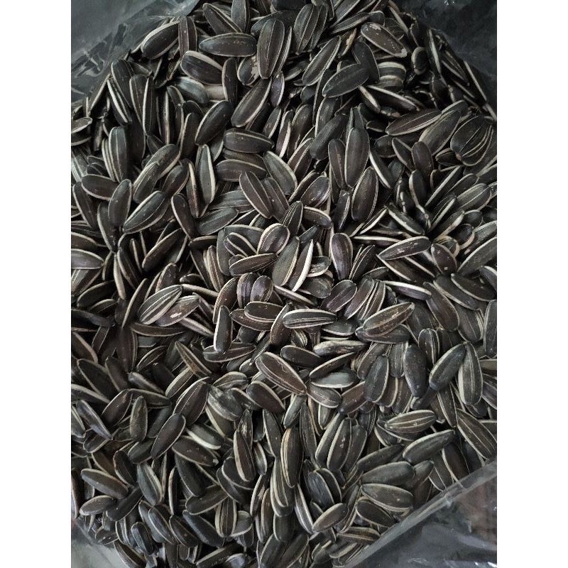 1 KG Hạt Hướng Dương nguyên vị truyền thống nguyên bản RANG SẴN loại 1 hạt chắc