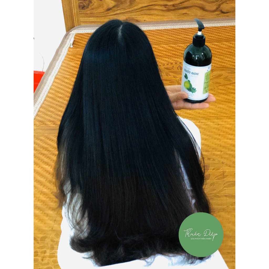 [Nhập mã THUA250BN giảm 30%] [250ml] DẦU GỘI BƯỞI NON CÔ ĐẶC [100% TỰ NHIÊN] [THUẦN DIỆP] | BigBuy360 - bigbuy360.vn