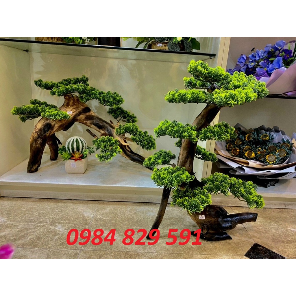 Cành Tùng Giả Làm Cây Trang Trí Siêu Đẹp