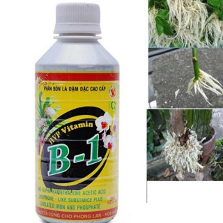 Phân bón vitamin B1 cao cấp cho lan