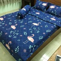 Bộ gra mền gối cotton poly cao cấp
