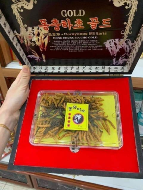 Đông trùng hạ thảo nguyên con (45_50 con) | BigBuy360 - bigbuy360.vn