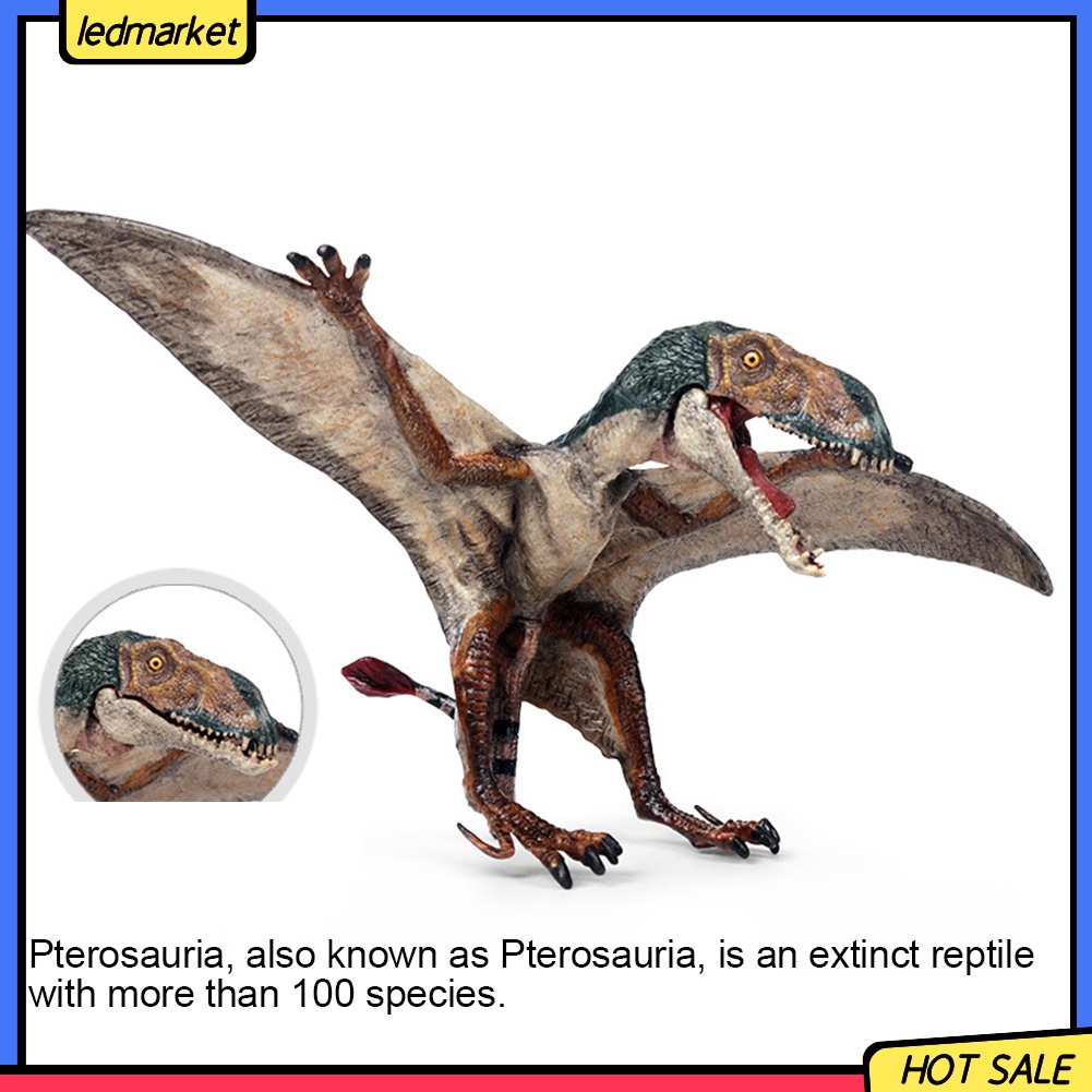 Mô hình đồ chơi khủng long bay dành cho bé yêu