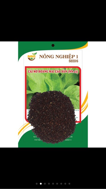 Hạt giống cải mơ hoàng mai- gói 20gr