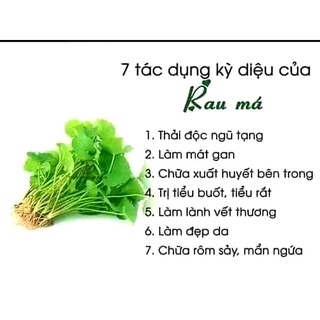 Rau má lá nhỏ