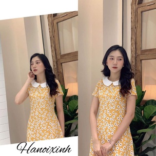 váy suông cổ sen trắng