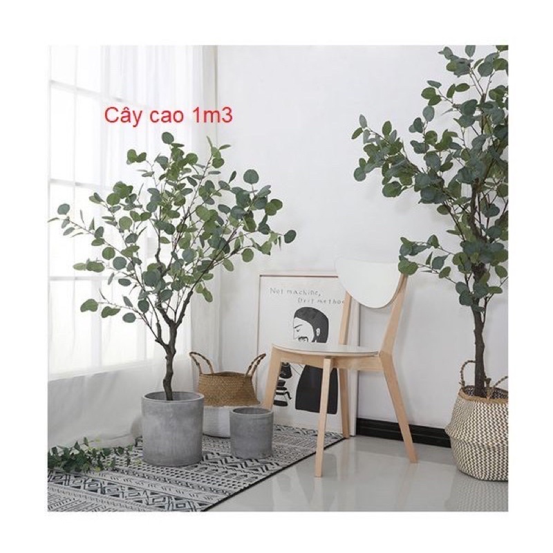 Cây giả-Cây BẠCH ĐÀN lá tròn loại cao cấp ,decor nội thất