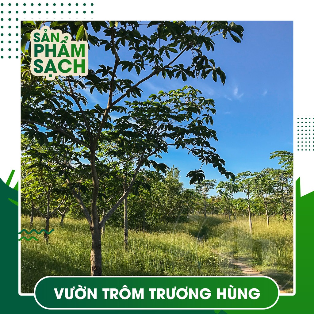 Mủ trôm sạch nguyên chất thanh lọc cơ thể loại Hạt Đường Trương Hùng gói 250gr