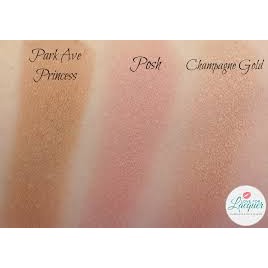 Phấn tạo khối Tarte Amazonian clay waterproof bronzer màu Park Ave Princess 3g