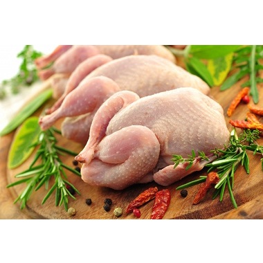 Thịt gà ta thả Vườn 1kg5 ->1kg9 đã được làm sạch