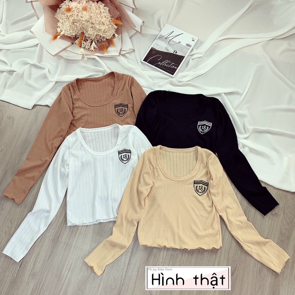 Áo croptop tay dài ôm nữ ACOD 18, thêu phù hiệu cá tính, áo kiểu dài tay thun gân xịn mịn, cổ tròn rộng trắng đen nâu
