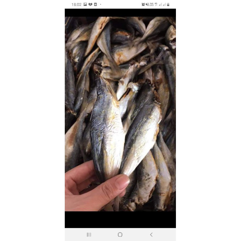 1kg Khô cá nục mặn ngon