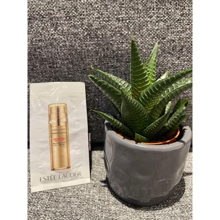 (Bill Anh) -  Minisize/sample dưỡng da và makeup các hãng