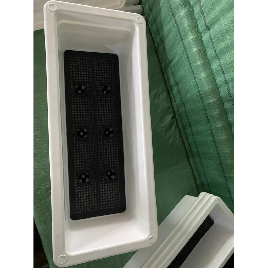 10 Khay nhựa trồng rau, chậu, máng nhựa trồng rau, hoa, cây cảnh hình chữ nhật 48CM