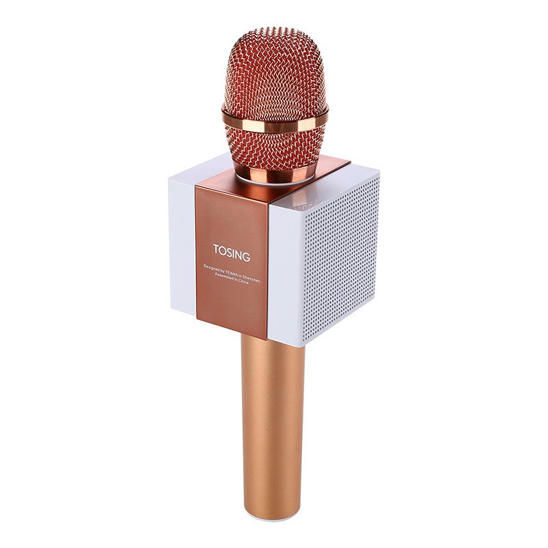 Micro Karaoke Tosing T008