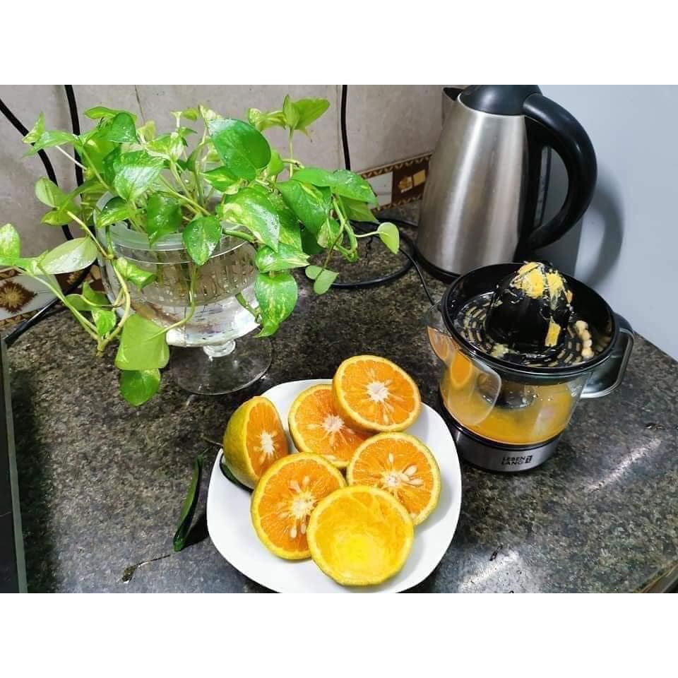 Máy vắt cam Đức Lebenlang dung tích 0.7 lít, bảo hành chính hãng 36 tháng
