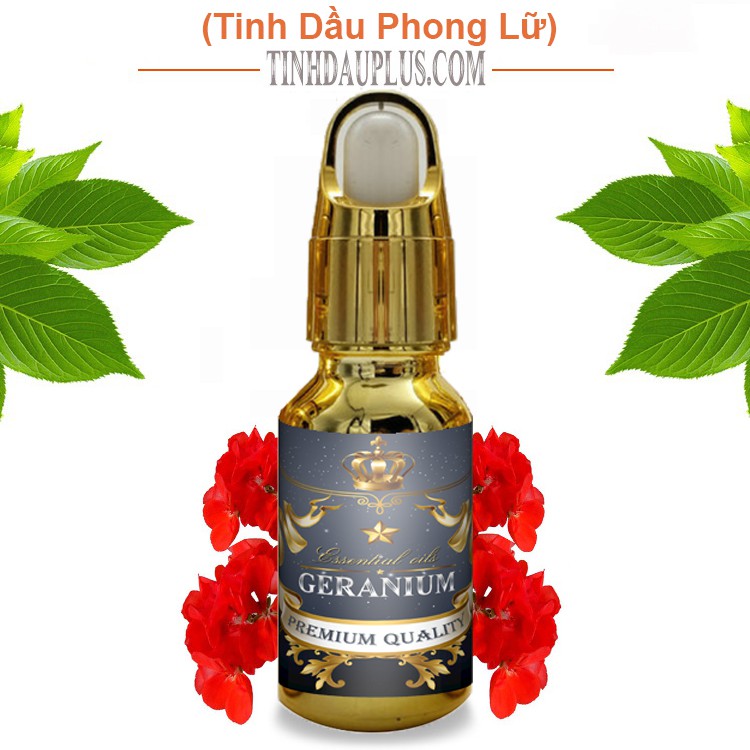 Tinh dầu phong lữ plus 20ml – Geranium EO nguyên chất thiên nhiên Ấn Độ – Quyến rũ, thanh lịch | BigBuy360 - bigbuy360.vn
