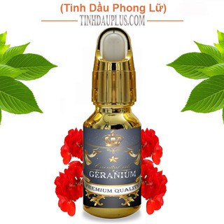 Tinh dầu phong lữ plus 20ml – Geranium EO nguyên chất thiên nhiên Ấn Độ – Quyến rũ, thanh lịch