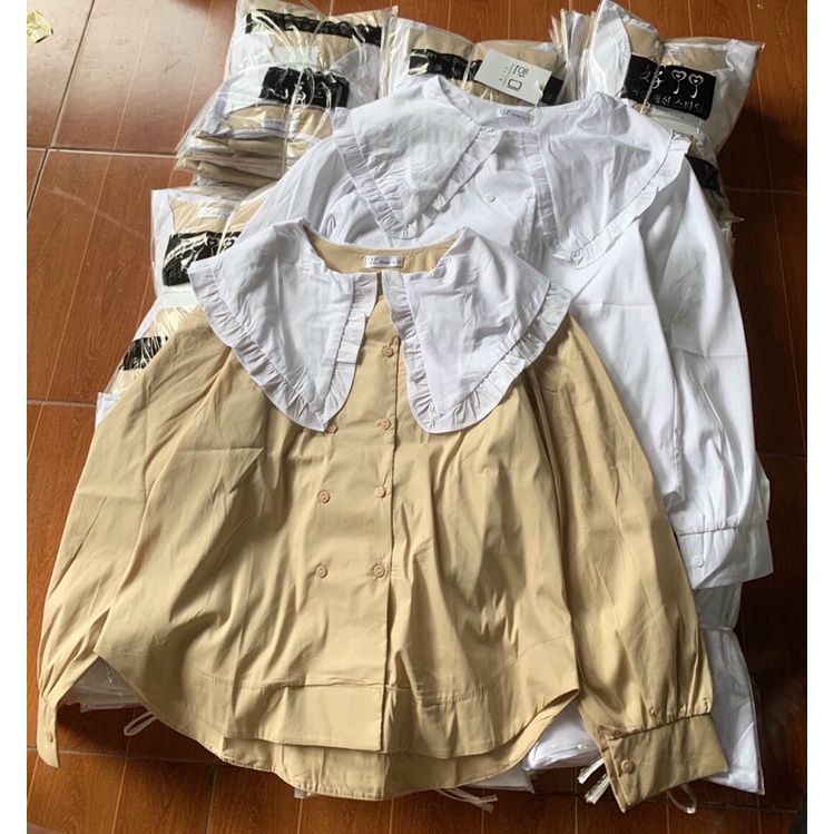 Sơ mi cổ bèo hai hàng nút big size