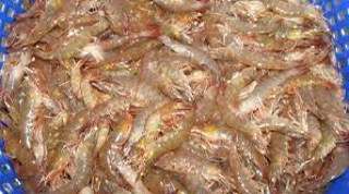 Chả ram tôm đất Bình Định