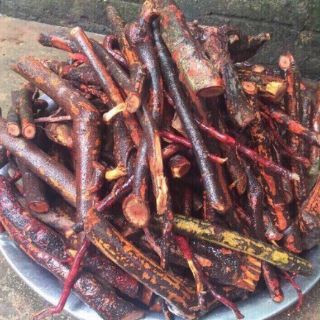 Cây Mú Từn 1kg