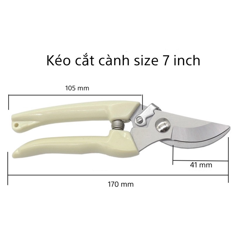 Kéo Cắt Cành Cây, Kéo Cắt Tỉa Chuyên dụng Chất liệu Thép không gỉ
