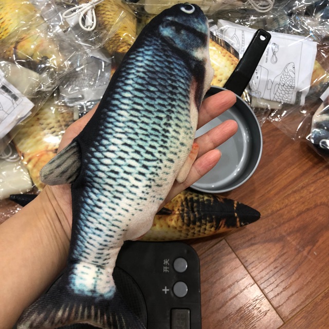 Cá biết nhảy cho bé