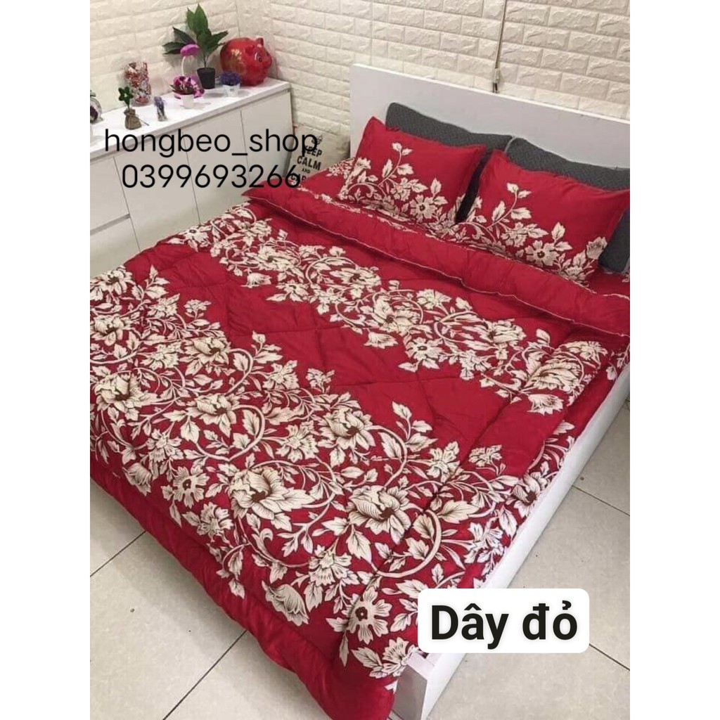 Set 5 Món Chăn Phao Ga Gối Cotton Poly Hàn quốc