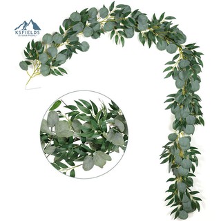Dây Leo Cây Bạch Đàn Giả Trang Trí