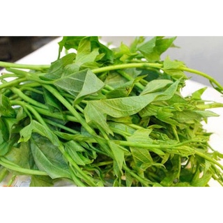 Nửa ký đọt rau lang vườn ngon 19k