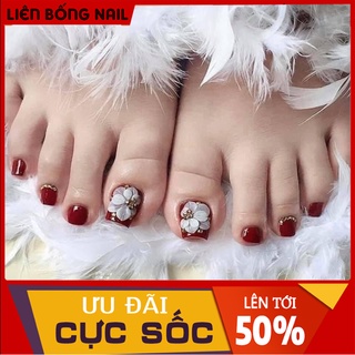 Hoa bột nail chân