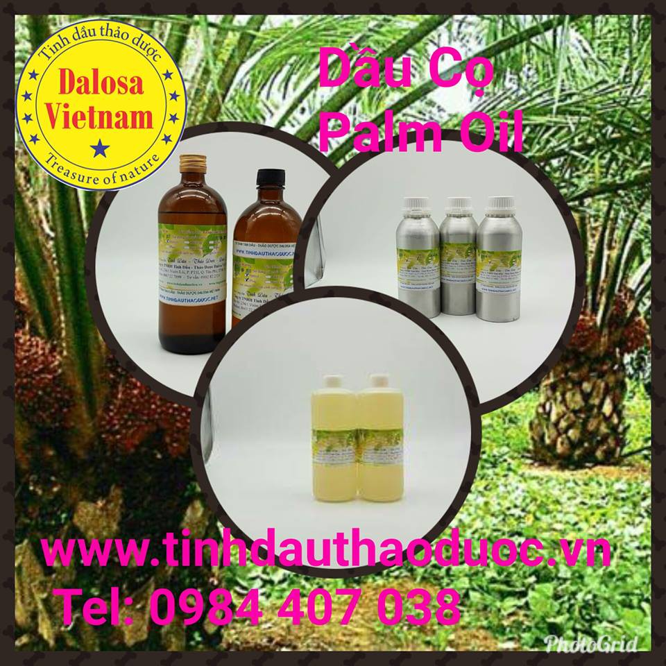 DẦU CỌ - PAML OIL 1LÍT ( ẤN ĐỘ)