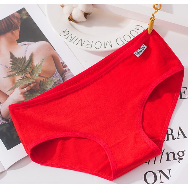 [bigsize] Quần Lót Pulo Còn hàng | BigBuy360 - bigbuy360.vn