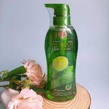 DẦU GỘI NGĂN NGỪA GÀU VÀ NGỨA DA ĐẦU MISTINE MAGROOD PLUS BORAPET SHAMPOO