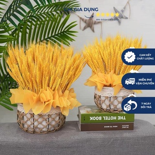Bông hoa lúa mạch khô 100 bông 1 bó